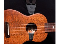 D´Addario 19UKE00 D´Addario 19UKE00